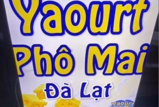 Yaourt phô mai Đà Lạt